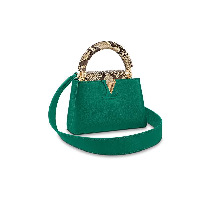 Louis Vuitton Emeraude Green Leather and Python Skin Capucines Mini Bag at  1stDibs